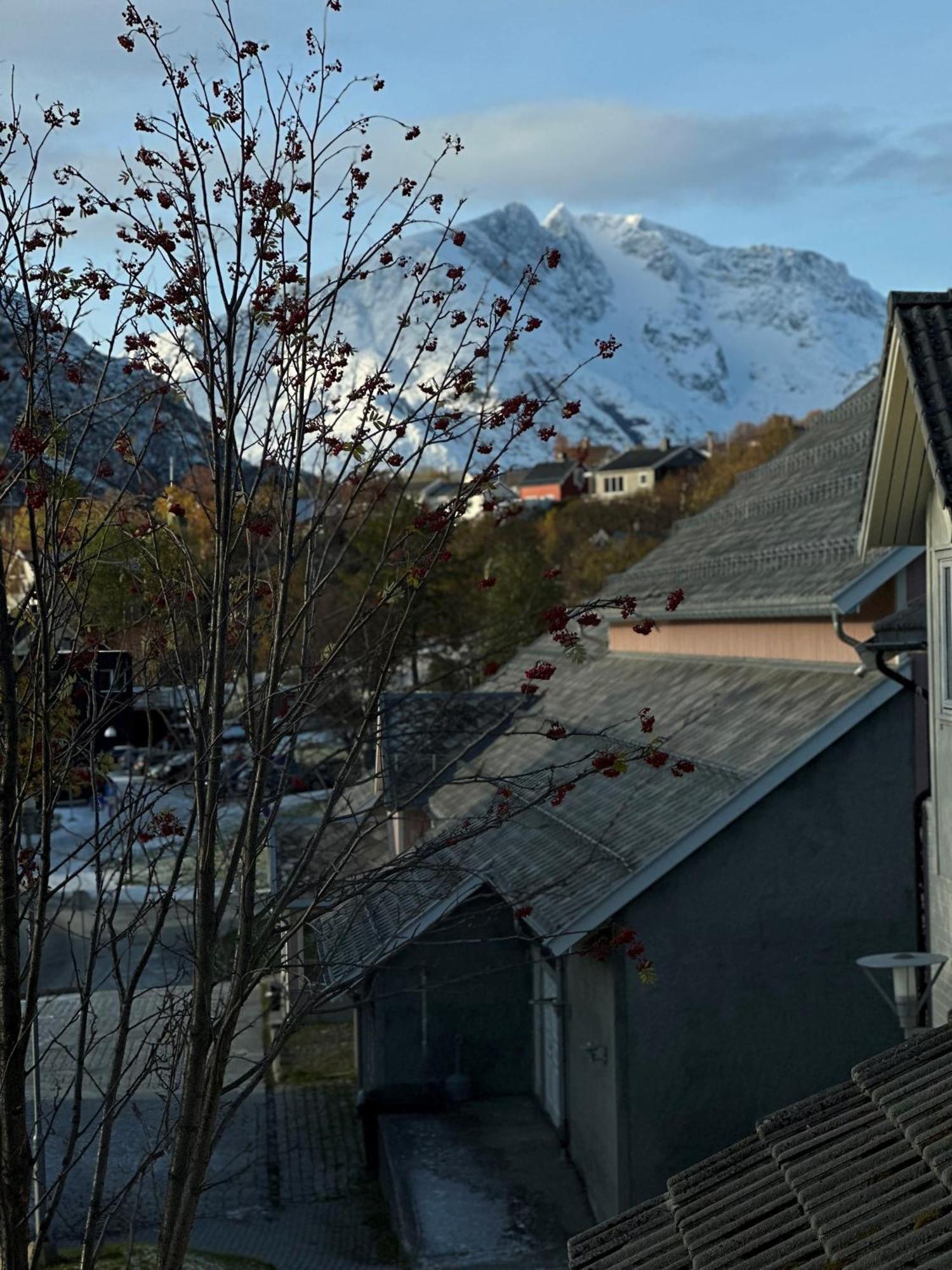 Hotell Maritim Skjervøy エクステリア 写真